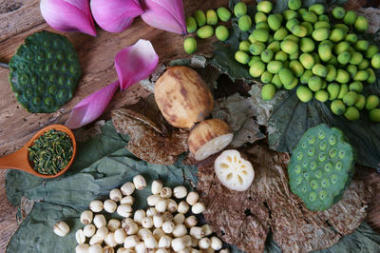 集合蓮花、 種子、 茶葉、 健康食