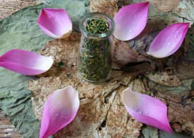 集合蓮花、 種子、 茶葉、 健康食