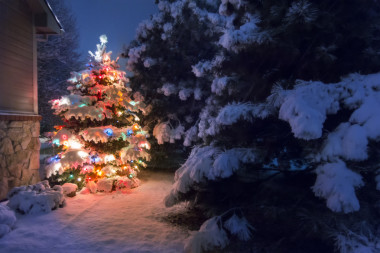 一場(chǎng)大雪靜靜地落在這棵圣誕樹(shù)上柔和的光芒和選擇性的模糊說(shuō)明了魔法