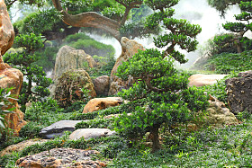 中国园林植物照片
