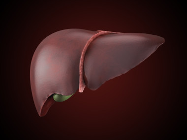 現(xiàn)實(shí)人類肝例