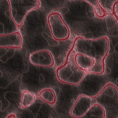 蠕蟲(chóng)生成紋理