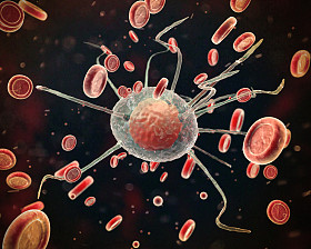 细胞和血红细胞照片