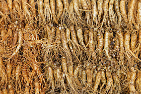 人群中的真正的人