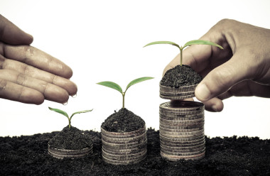 年輕的植物澆水的手