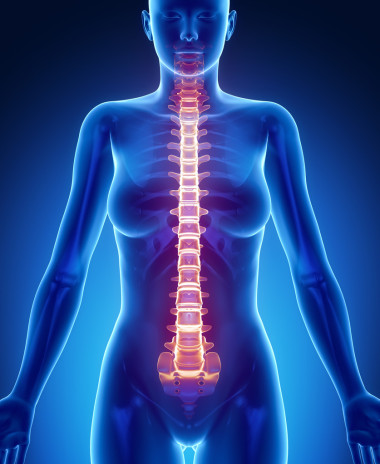女性的身体，脊柱骨扫描