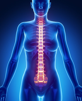 女性的身体，脊柱骨扫描