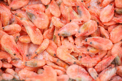 冷凍的蝦圖片