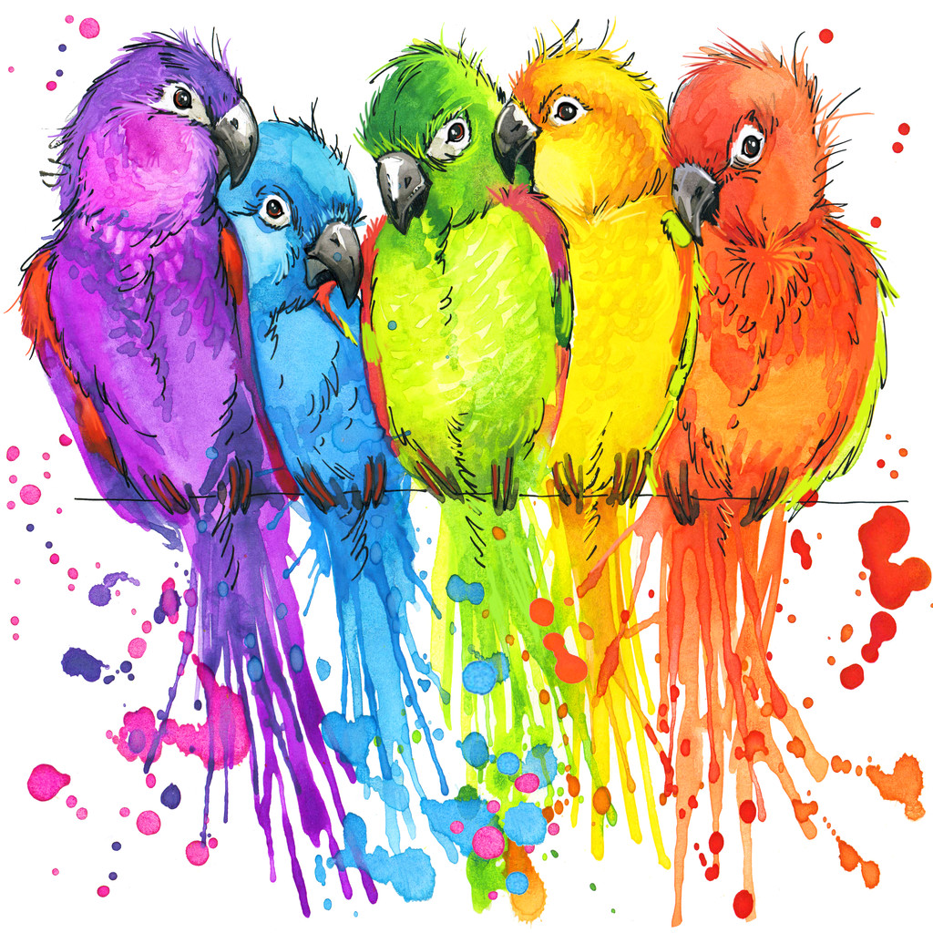 T 恤图形彩色鹦鹉,插画水彩 T 恤图形彩色鹦鹉,插画水彩