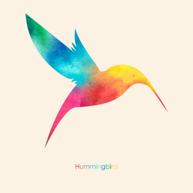 水彩的五彩鸟。水彩绘画图片