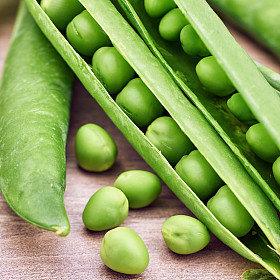 绿豌豆照片