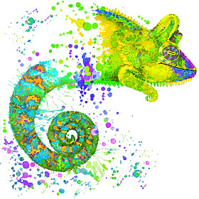 变色龙图与飞溅水彩带纹理的背景