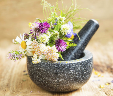藥用植物和草藥在臼杵，替代