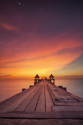 庙里的树木繁茂的桥