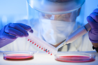 在與高度的保護(hù)實(shí)驗(yàn)室工作