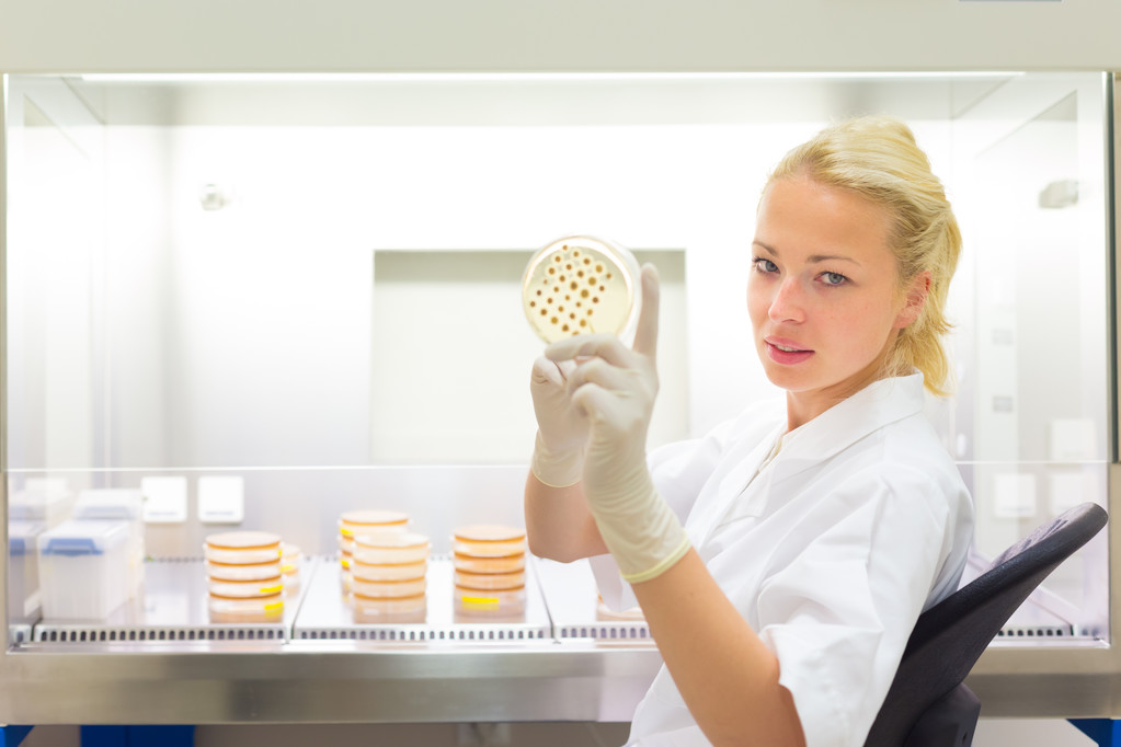 科学家观察培养皿 科学家观察培养皿