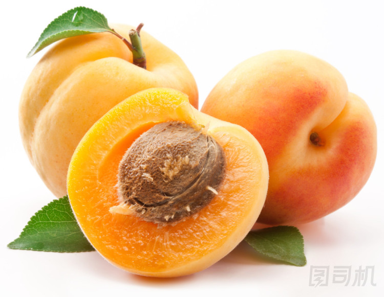 葉杏