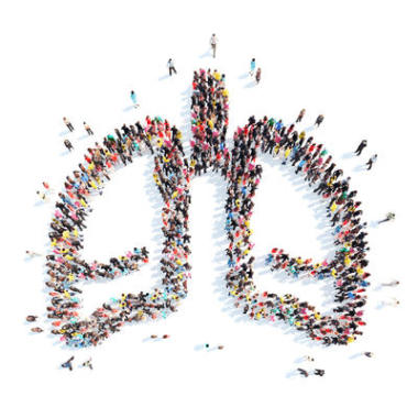 人在人的肺窗體.照片