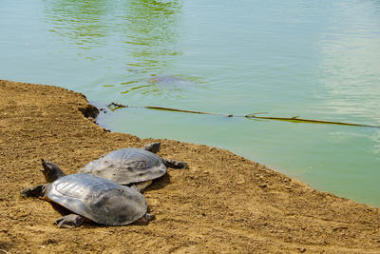Nahal 亞歷山大自然保護(hù)區(qū)