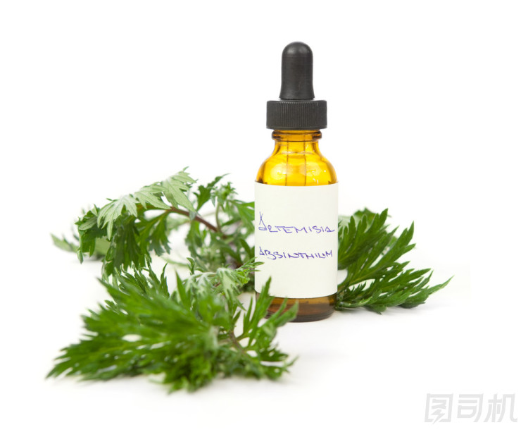 艾草中藥酊劑或油圖片