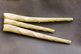 竹笋或竹芽是可食用的笋