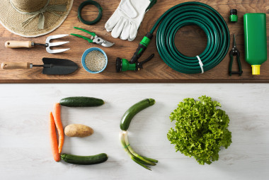 生態(tài)概念照片