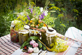 Banks and pickled vegetables - cucumbers, tomatoes, zucchini and spices