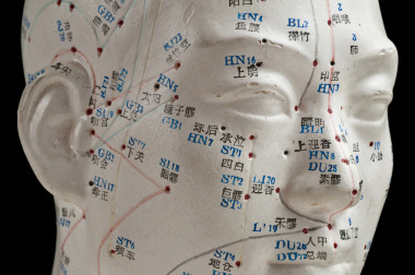 针刺头部模型