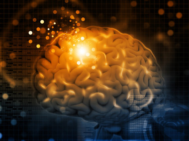 大腦功能的 3d 渲染