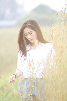 亚洲女孩在麦田图片