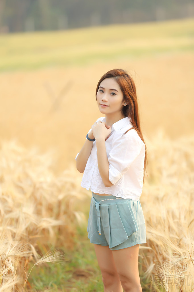 亞洲女孩在麥田