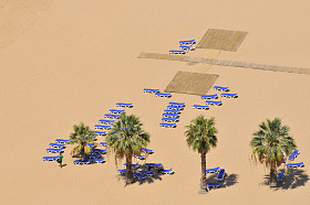 特内里费岛特蕾西塔斯海滩和棕榈树