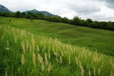 夏天多云沉闷的一天