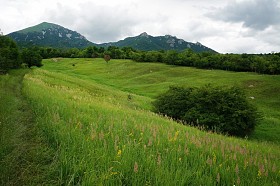 夏日里山上的云