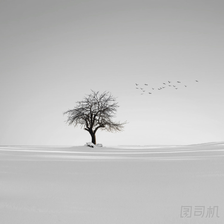 冬冬季圖片