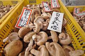 在当地市场出售新鲜日本棕色香菇