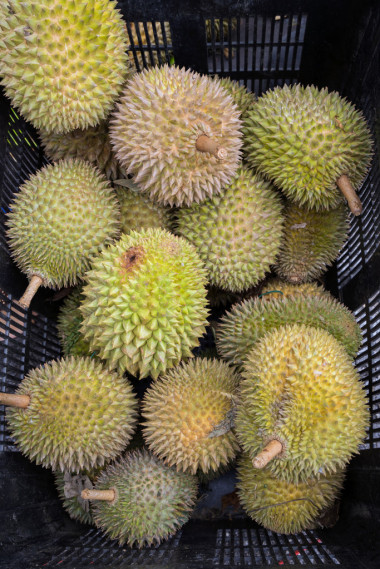 榴莲水果