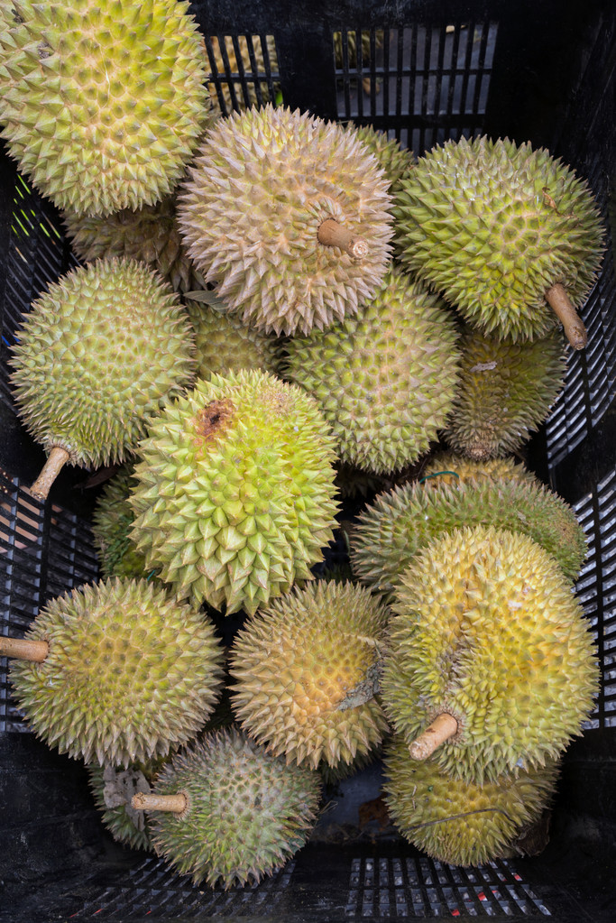 榴莲水果