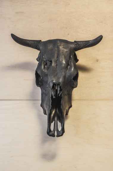 黑牛頭骨