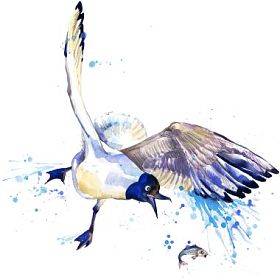 海鸥的t恤图形海鸥插图与飞溅水彩纹理背景不寻常的插图waterco