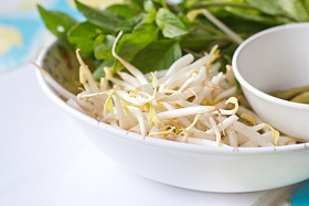 绿豆或豆芽在白板上