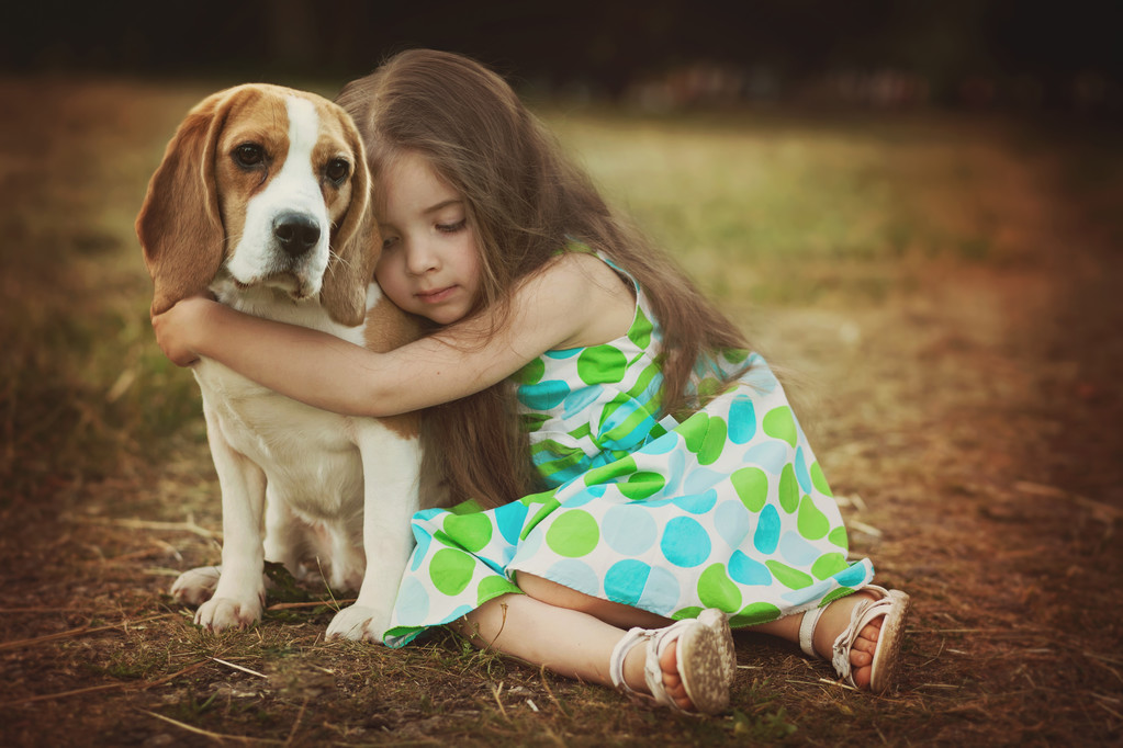 狗比格犬的小女孩照片 狗比格犬的小女孩照片