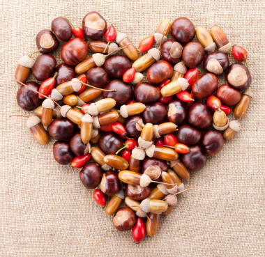 織物紋理 b 上的橡子栗子和狗玫瑰心