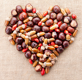 织物纹理 b 上的橡子栗子和狗玫瑰心