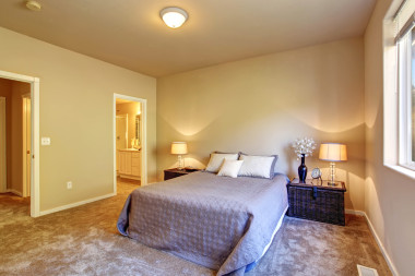 先进的卧室，地毯和灯.图片