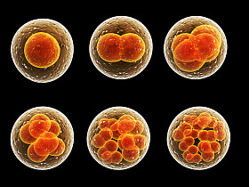 工序划分的单元格图片
