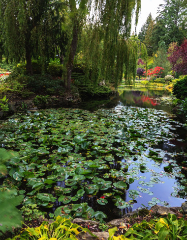 花卉园宝翠花园图片