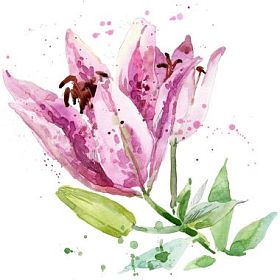 夏天花园里的花水彩插图