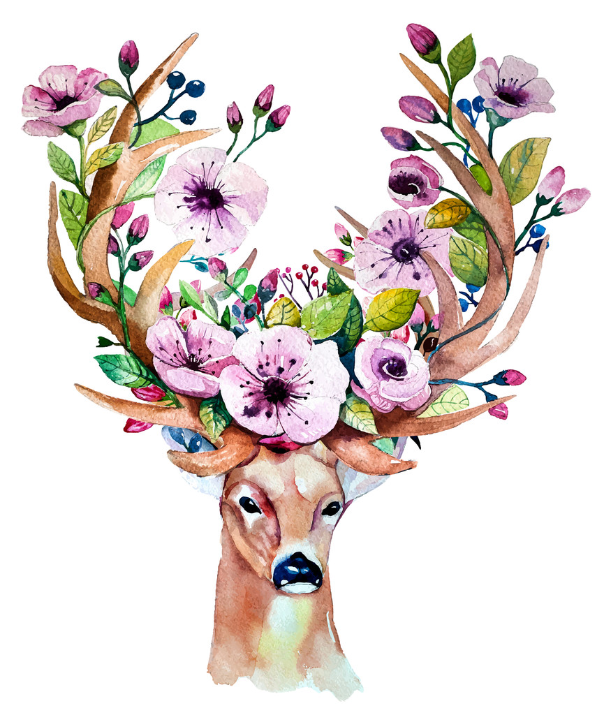手画的鹿与花图片 手画的鹿与花图片