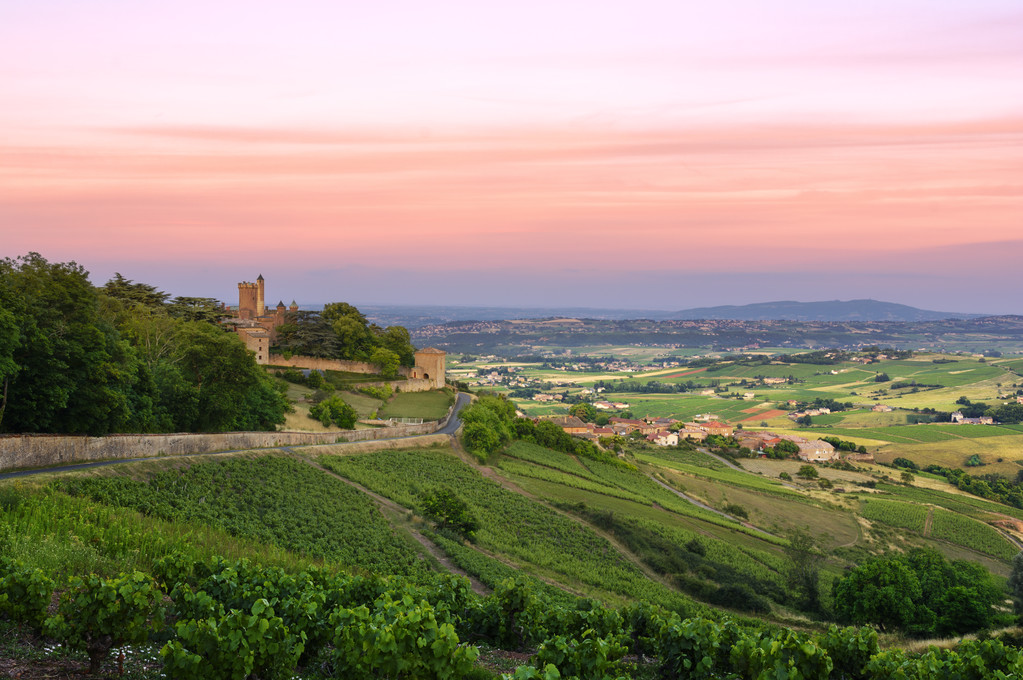 在夕阳下,Montmelas 城堡,薄酒莱,法国以后 在夕阳下,Montmelas 城堡,薄酒莱,法国以后